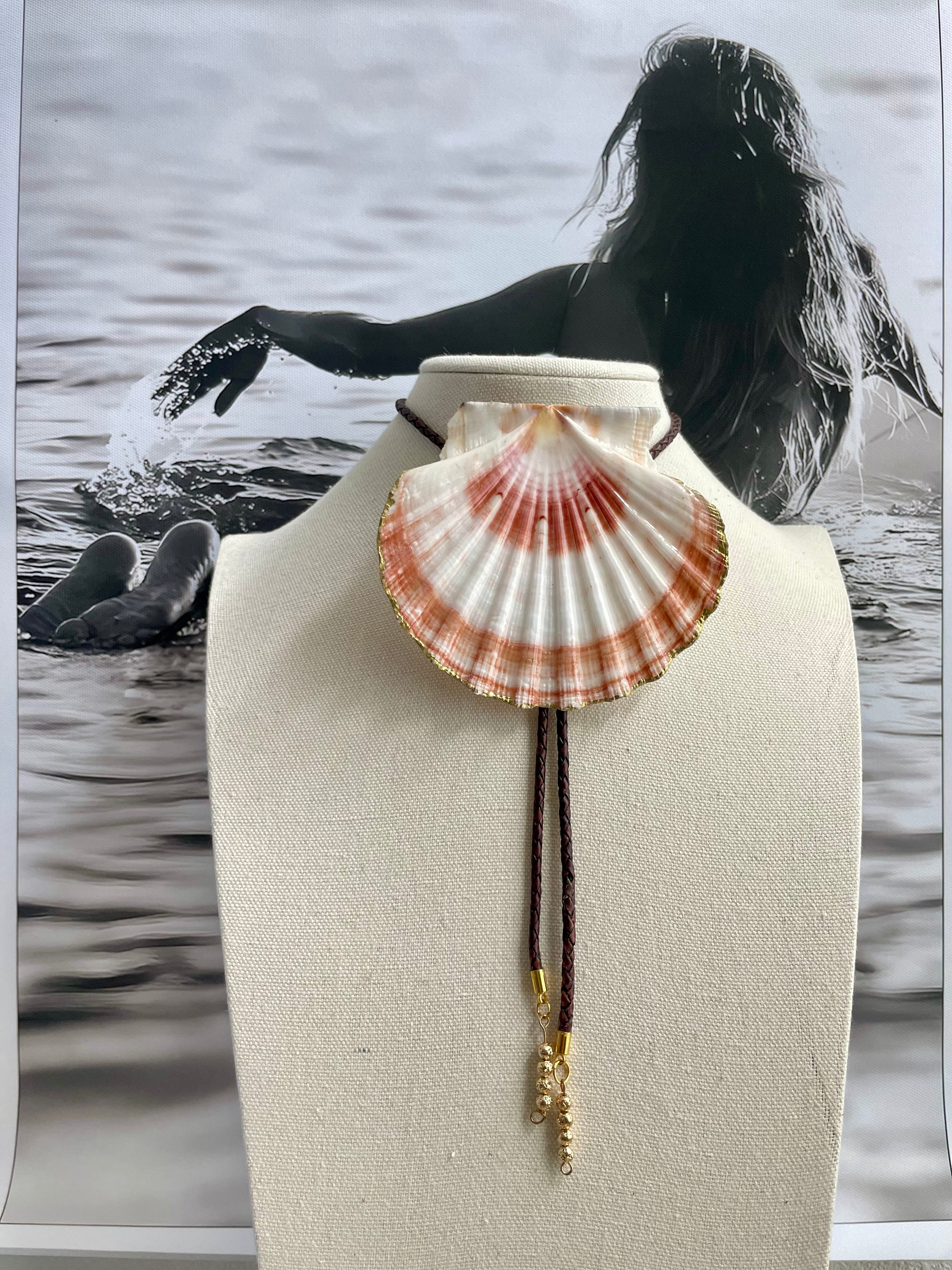 Lion's Paw Shell Bolo with Brown Braided Cord & Gold Tips