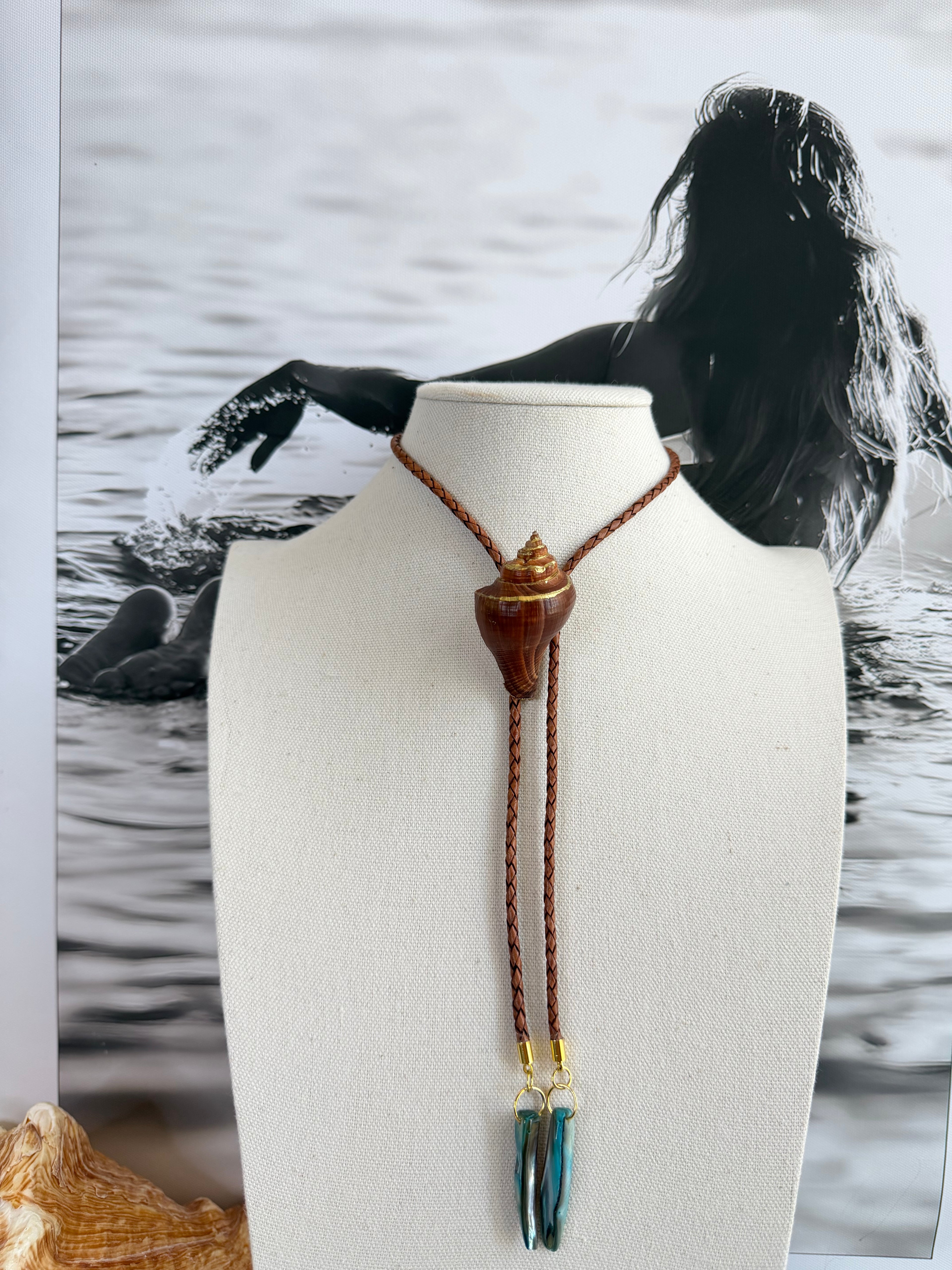 Chocolate Brown Shell with Abalone Shell Tips